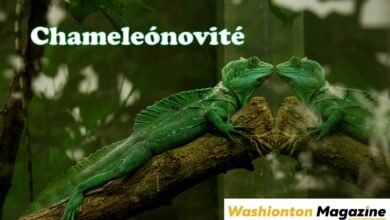 Chameleónovité