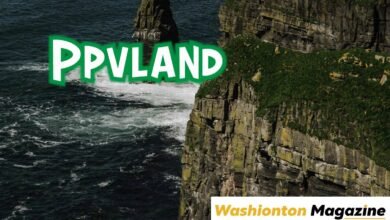 Ppvland