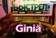 Giniä